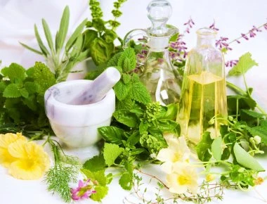 Δείτε ποιο βότανο βελτιώνει τη μνήμη και τους βαθμούς των γραπτών